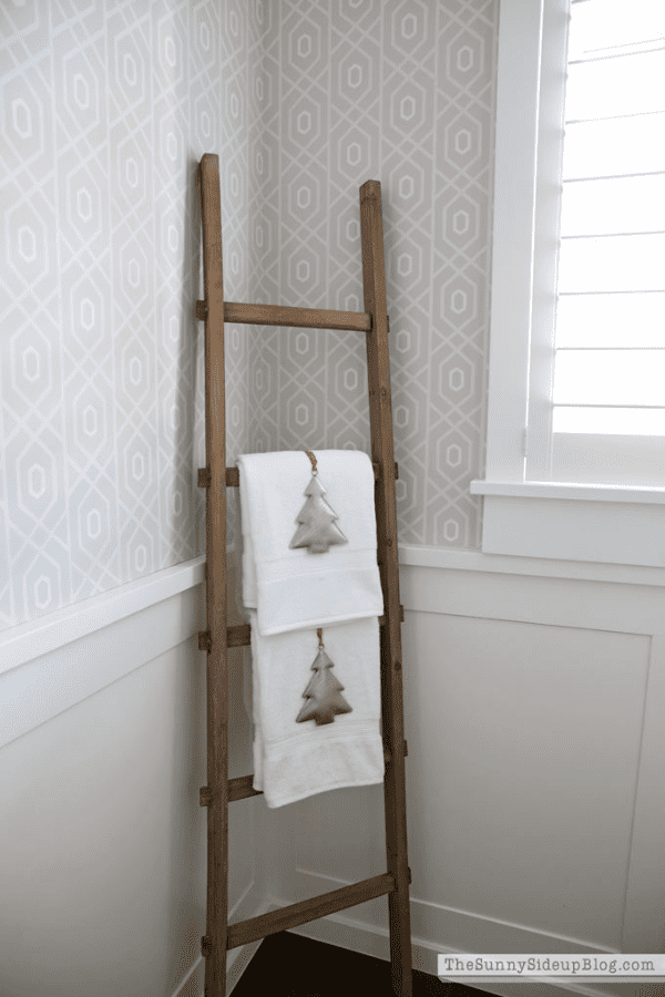 Ladder with Ornaments