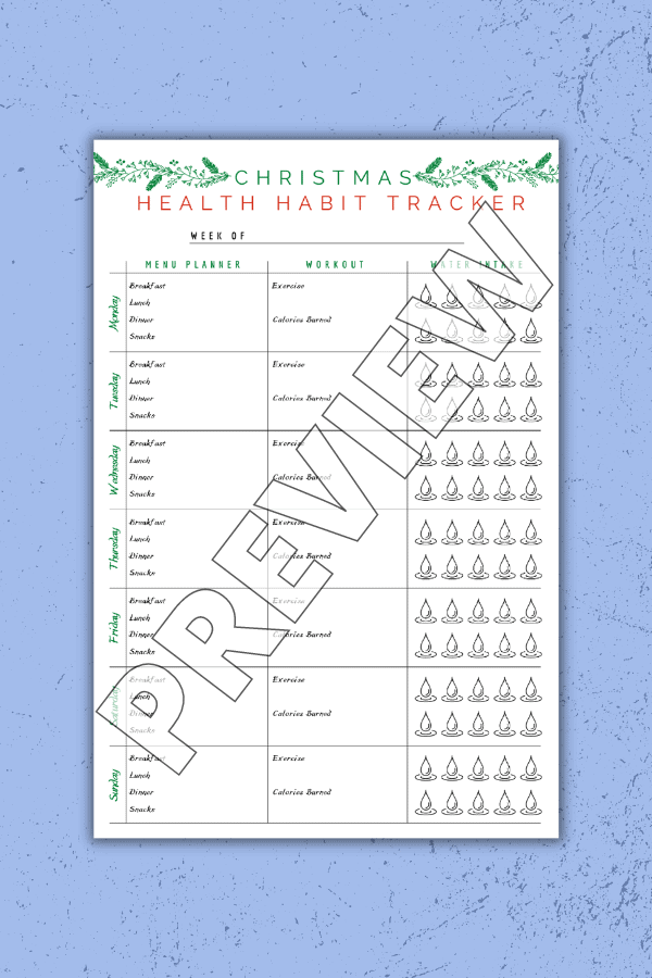 Hand Drawn Christmas Twig Design Habit Tracker Free Printable