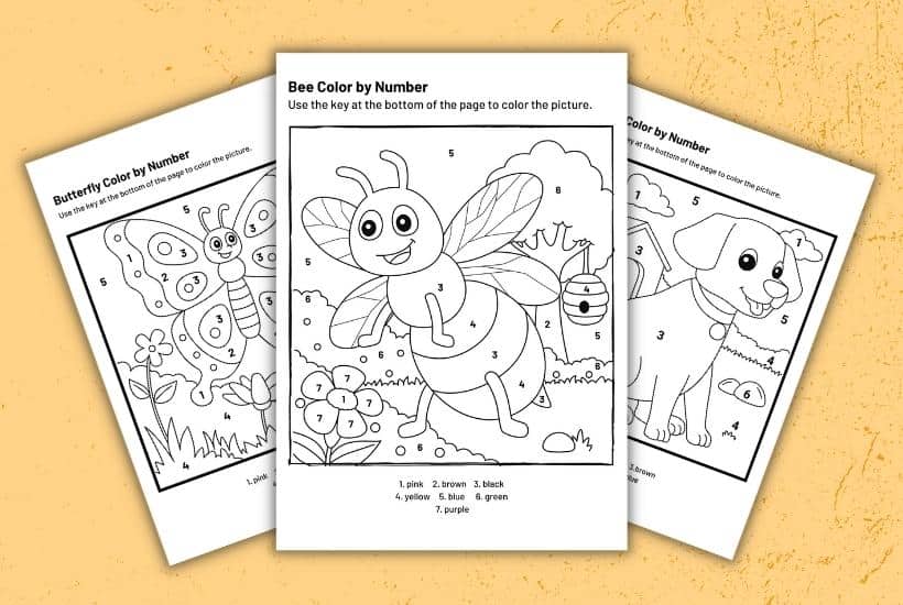 6 Free Color by Number Summer Printables for Kids to Enjoy