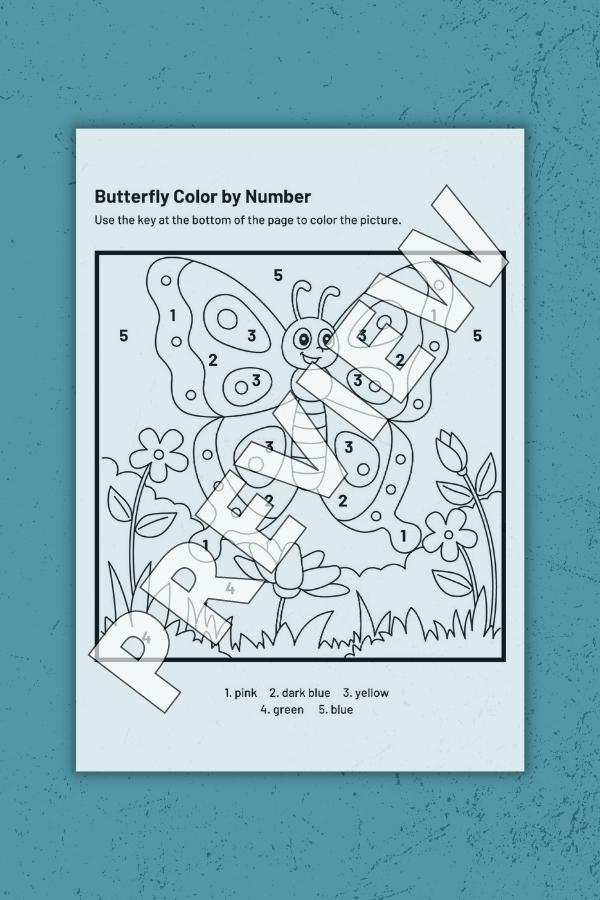BUTTERFLY COLOR BY NUMBER