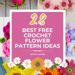 28 Best Free Crochet Flower Pattern Ideas