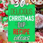 List of Delicious 30+ Christmas Dips That Will Make Your Holiday Party a Hit