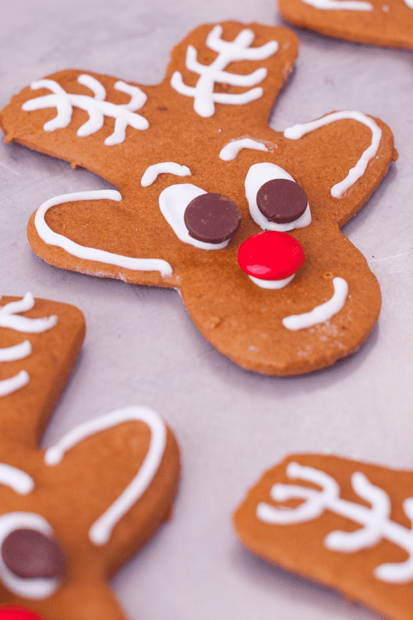 Reindeer Gingerbread Cookie