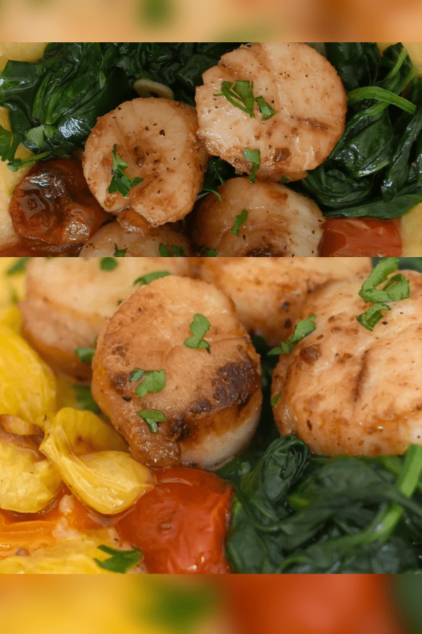 Pan-Seared Sea Scallops with Tomatoes & Spinach over Polenta