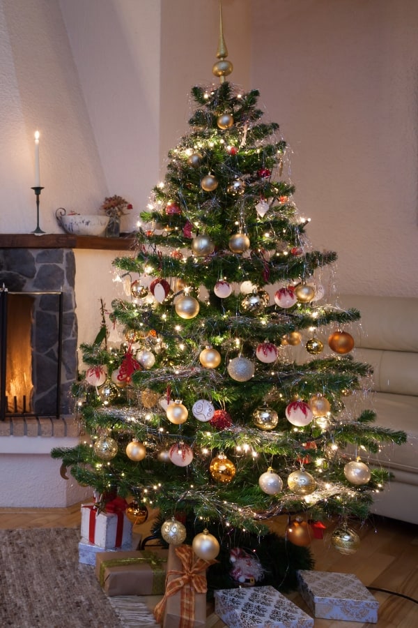 Set Up Your Christmas Tree