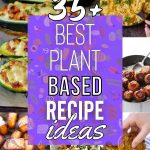 List of the Best Plant-Based Recipes For A Healthy Diet