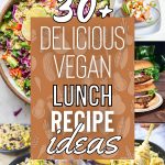List of Delicious Vegan Lunch Recipe Ideas For A Healthy Diet