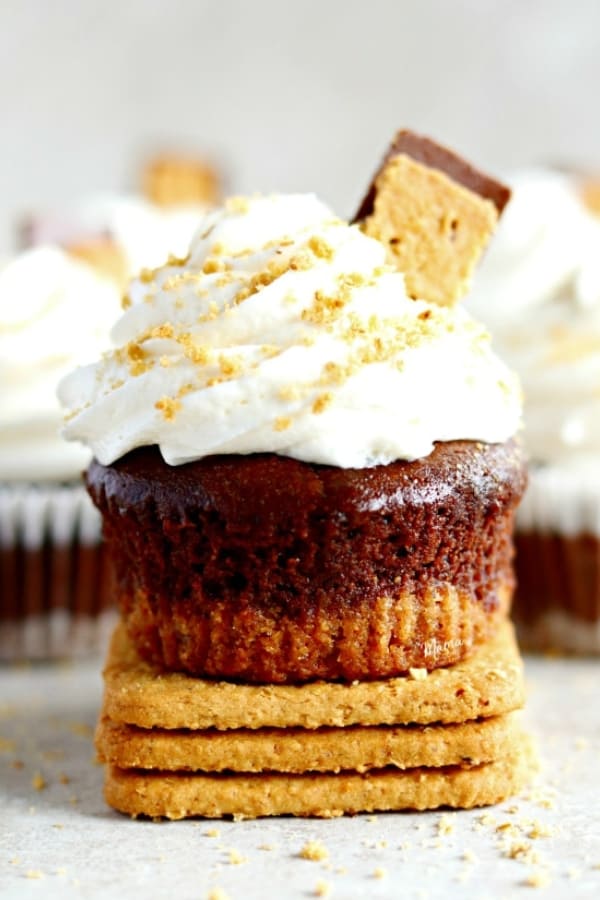 GLUTEN-FREE S'MORES CUPCAKES