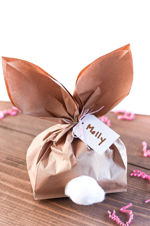 PAPER BAG BUNNY FOR EASTER