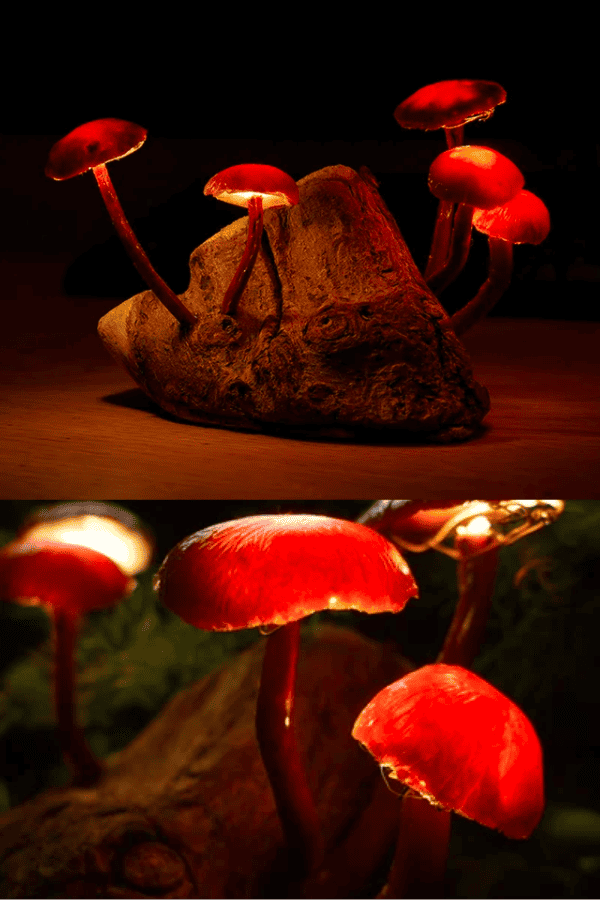 Enchanted Forest Mushroom Lights