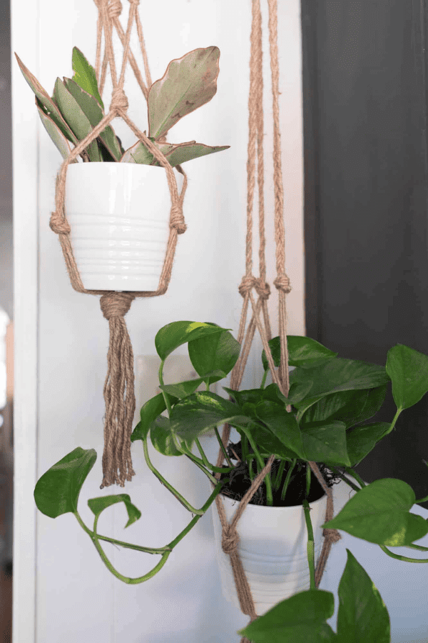 Knotted Jute Plant Hangers
