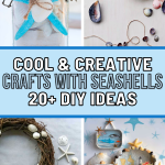 20+ Cool & Creative DIY: Crafts With Seashells