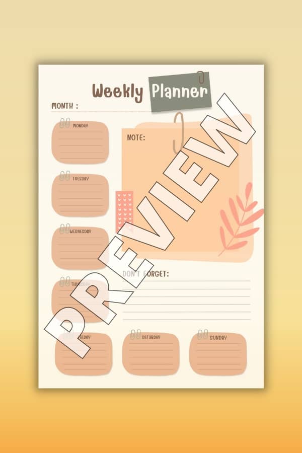 ORANGE SIMPLE SUMMER WEEKLY PLANNER