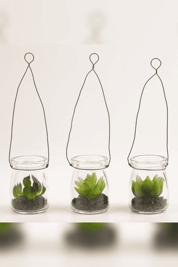 Succulent Hanging Jars