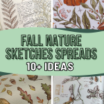 Unfolding Autumn: 12 Fall Nature Sketches Spread