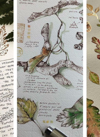 Unfolding Autumn: 12 Fall Nature Sketches Spread