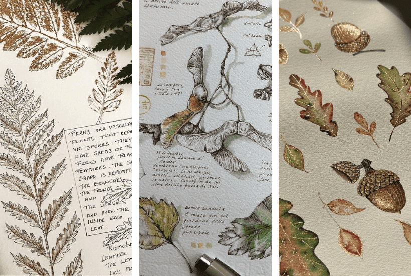 Unfolding Autumn: 12 Fall Nature Sketches Spread