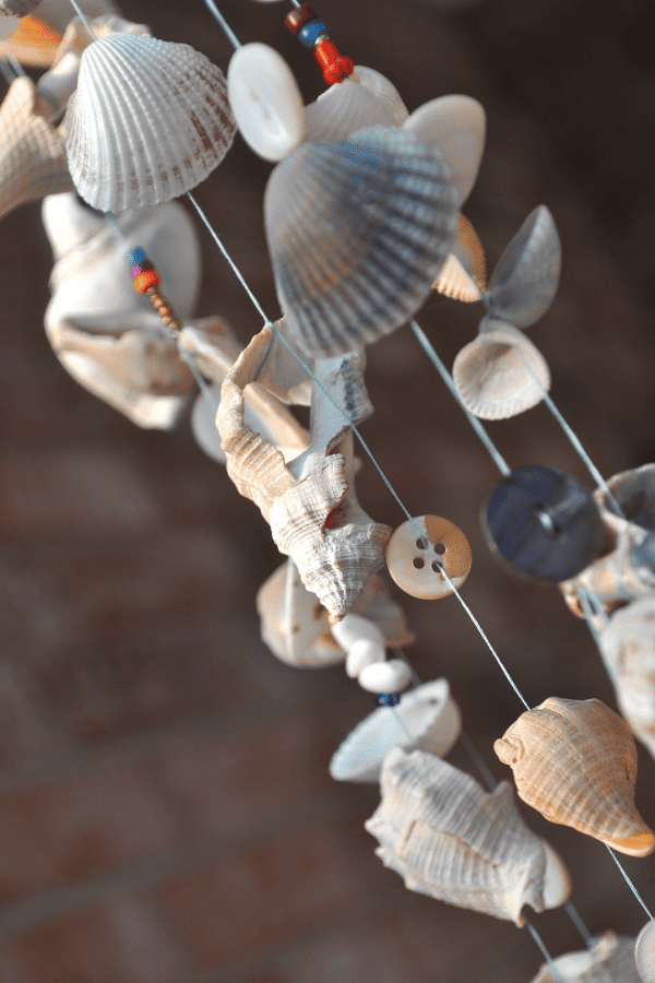 Driftwood and Seashell Wind Chimes