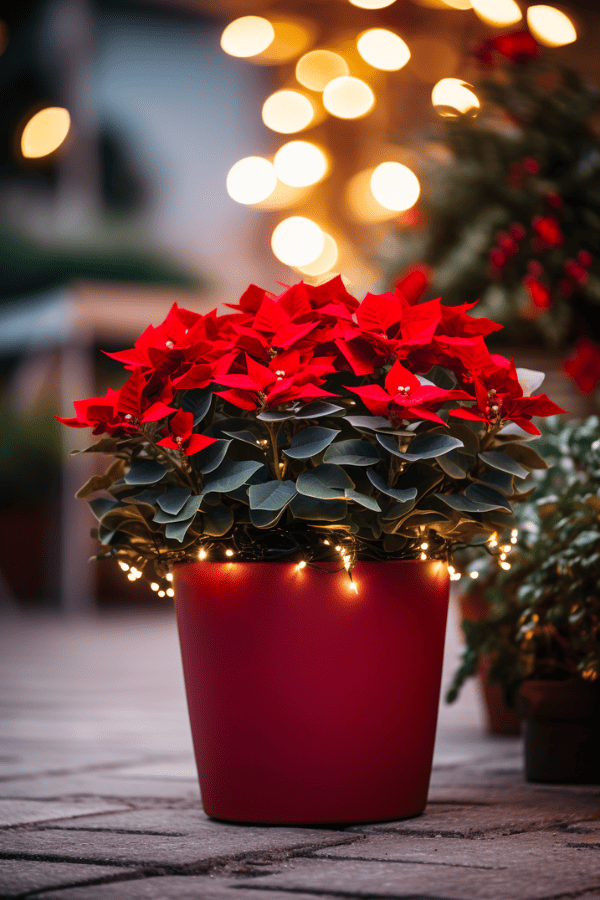 Holiday-themed Planters