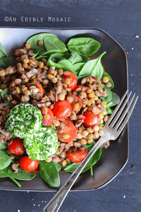 Lentil Salad with Herbed Goat Cheese