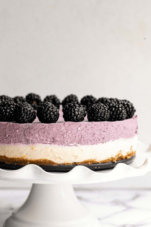 Blackberry Cheesecake