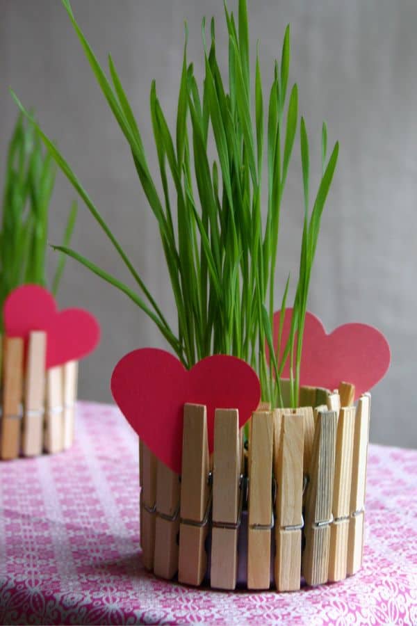 CLOTHESPIN PLANTERS