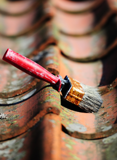 Paint brush on tiled roof