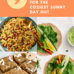 9 Picnic Recipes Ideas for the Coziest Sunny Day Out