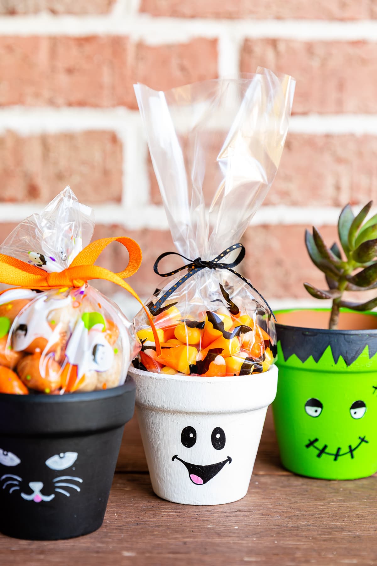 Three small painted Halloween flower pots, a black cat, a white ghost and a green monster, holding wrapped treats and a small plant