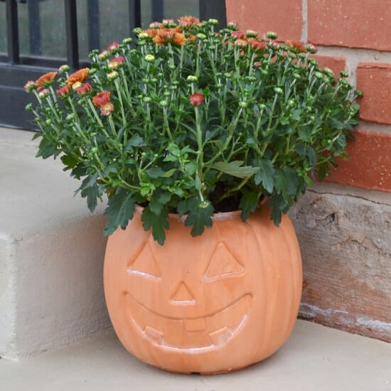 Painted terracotta pumpkin pot planted with mums sitting on a porch step